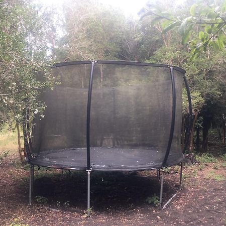 Cabanas Ensenada Bosque Nativo Esterno foto
