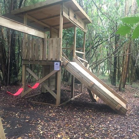 Cabanas Ensenada Bosque Nativo Esterno foto