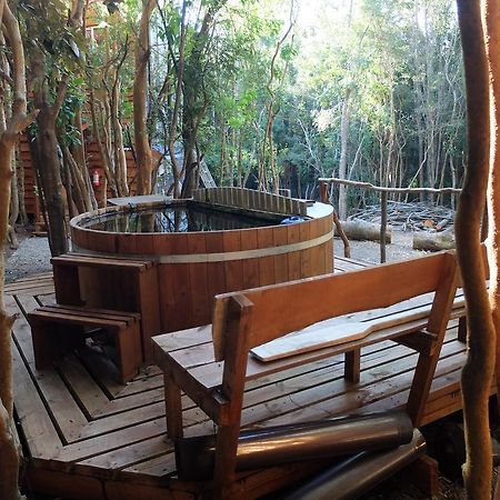 Cabanas Ensenada Bosque Nativo Esterno foto
