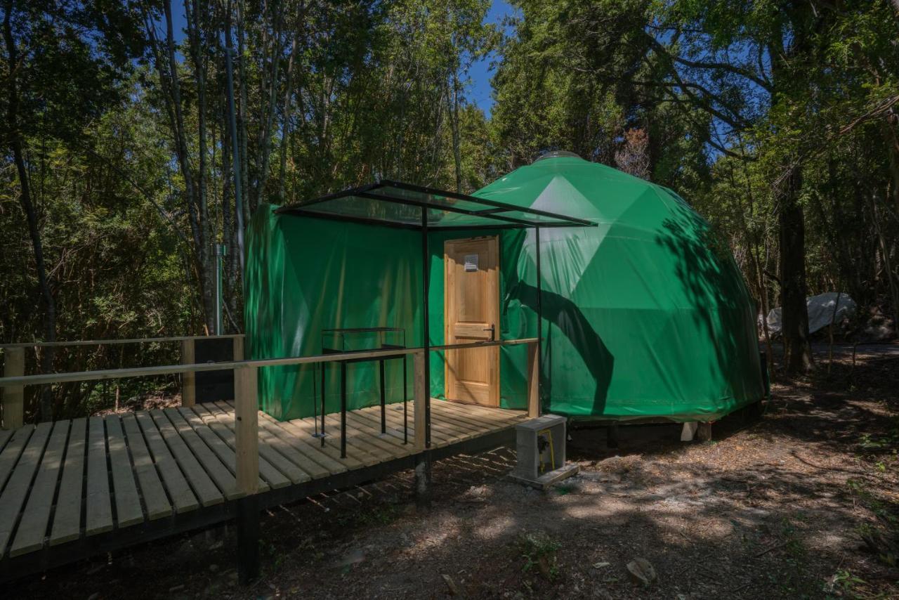 Cabanas Ensenada Bosque Nativo Esterno foto