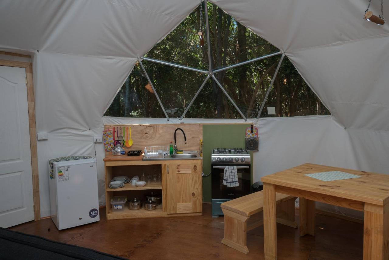 Cabanas Ensenada Bosque Nativo Esterno foto