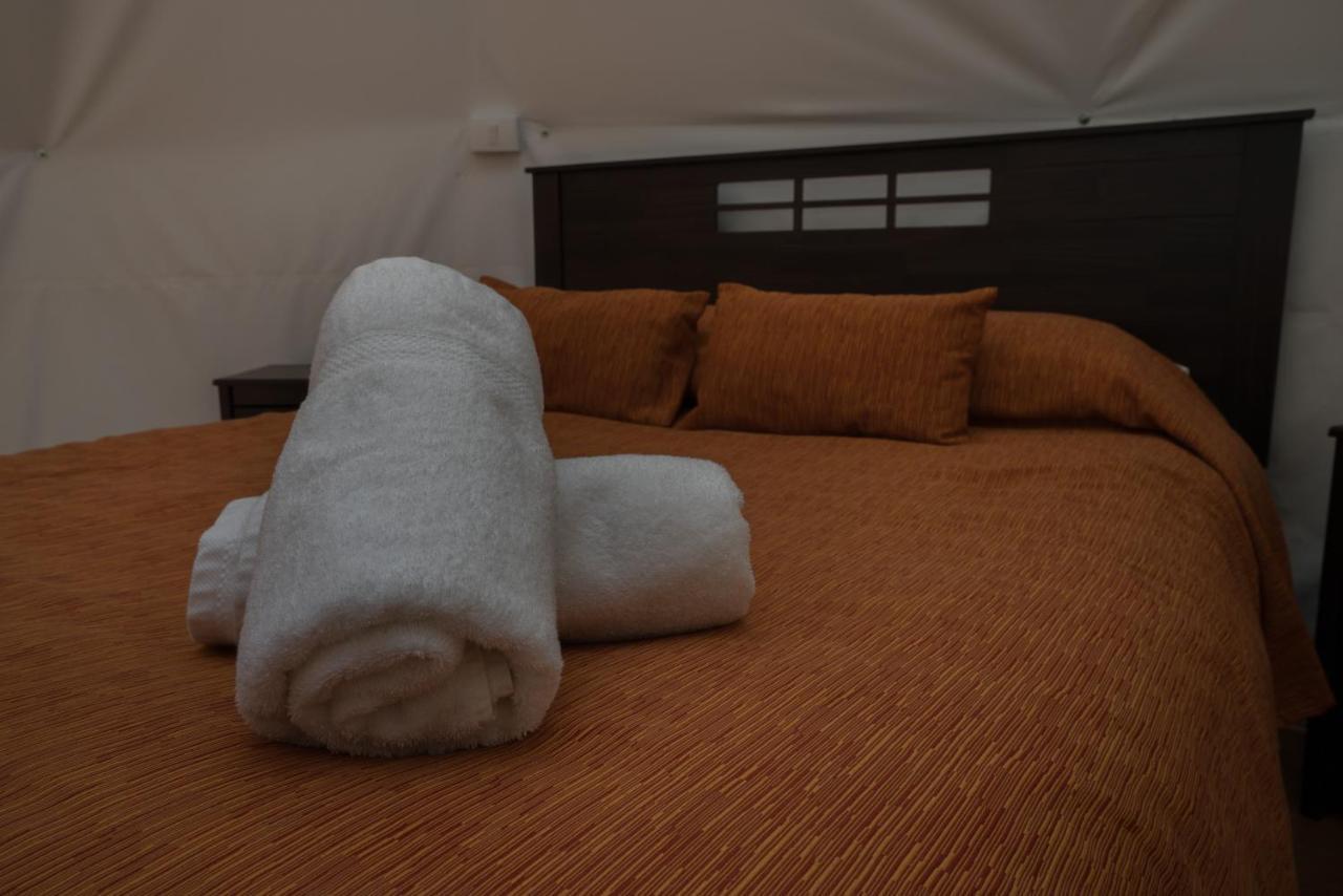 Cabanas Ensenada Bosque Nativo Esterno foto