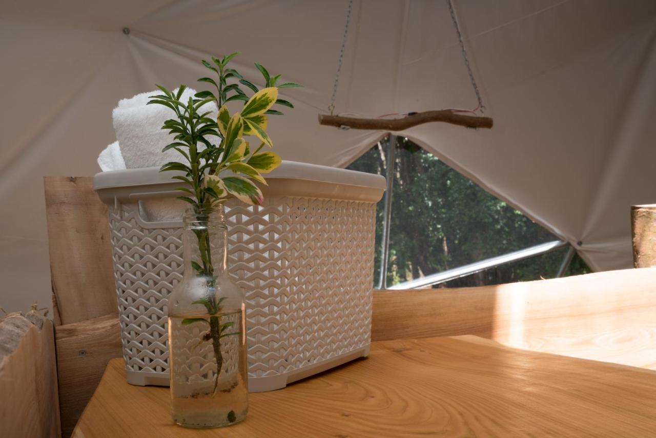Cabanas Ensenada Bosque Nativo Esterno foto