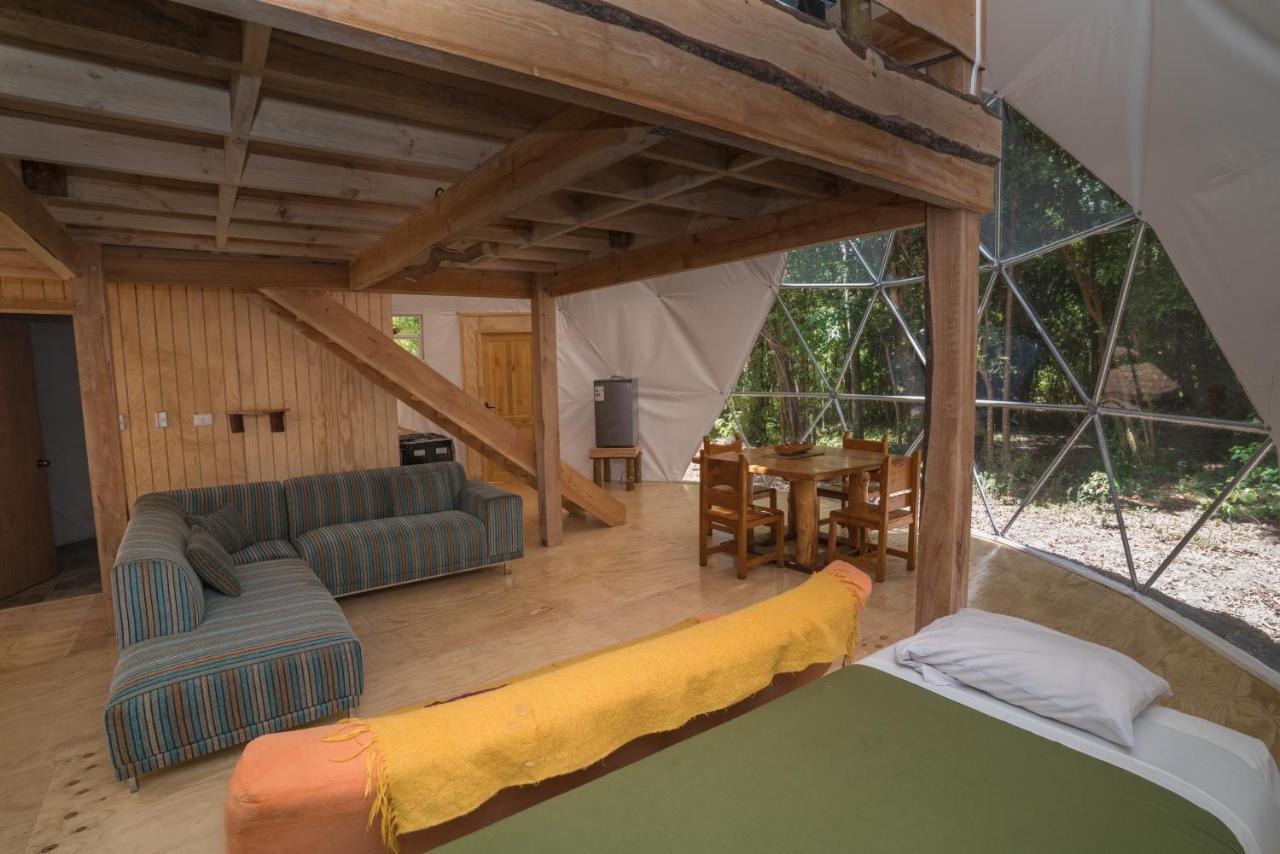 Cabanas Ensenada Bosque Nativo Esterno foto