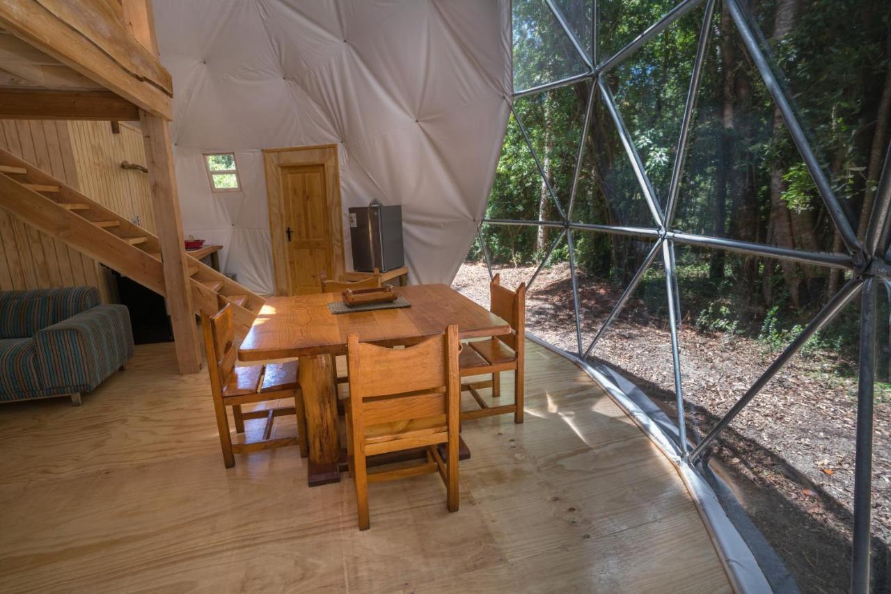 Cabanas Ensenada Bosque Nativo Esterno foto