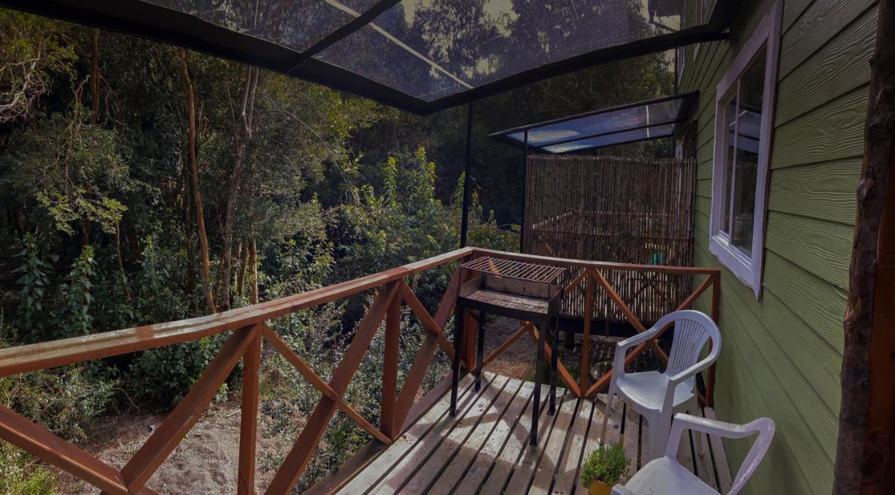Cabanas Ensenada Bosque Nativo Esterno foto