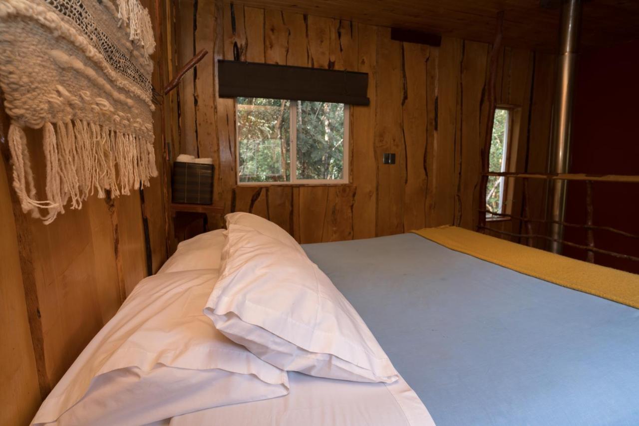 Cabanas Ensenada Bosque Nativo Esterno foto