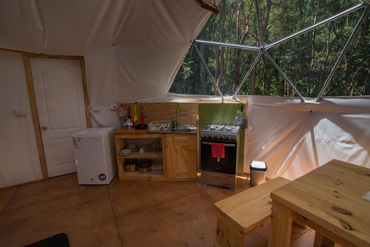 Cabanas Ensenada Bosque Nativo Esterno foto