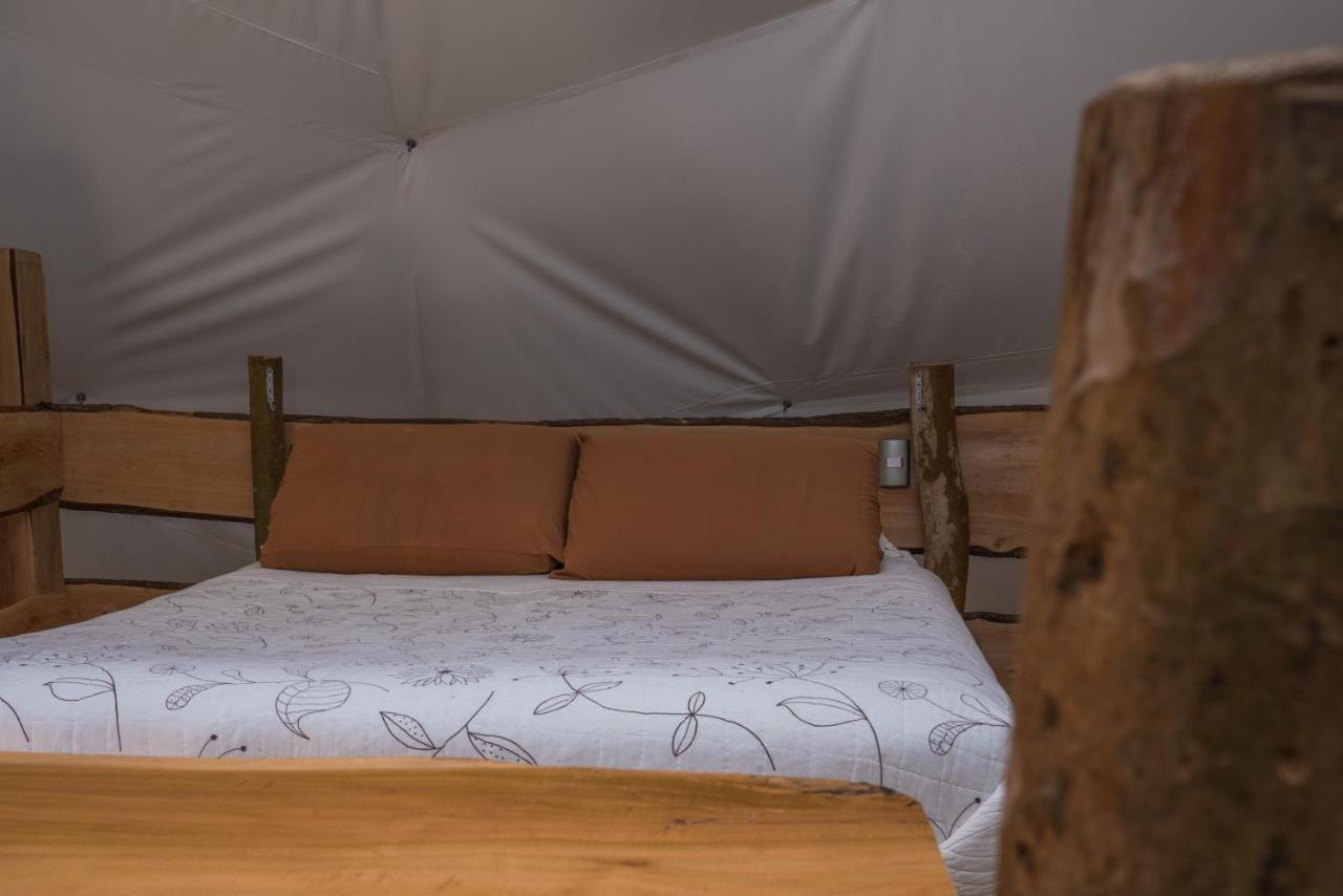 Cabanas Ensenada Bosque Nativo Esterno foto