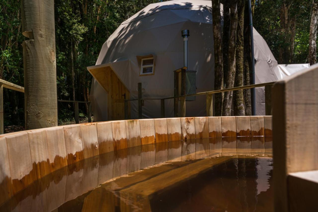 Cabanas Ensenada Bosque Nativo Esterno foto
