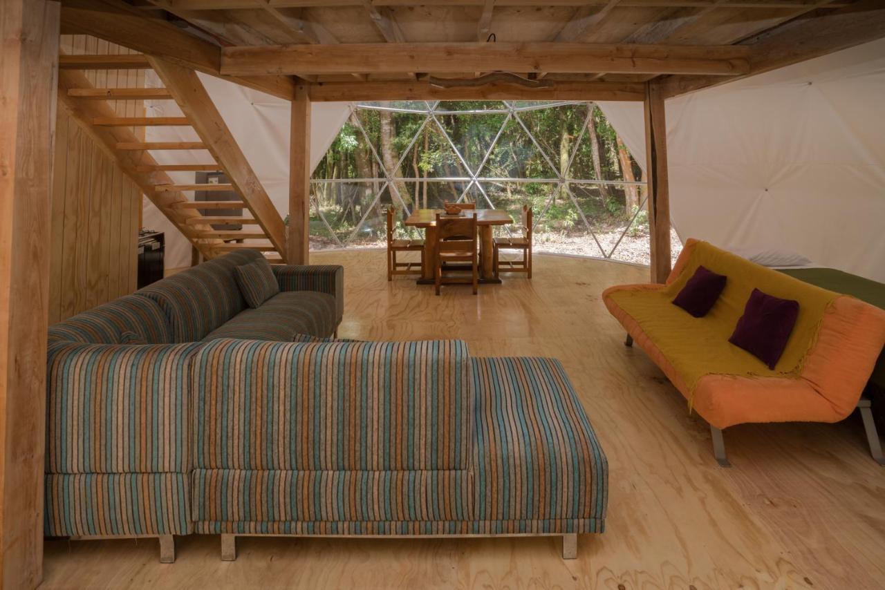 Cabanas Ensenada Bosque Nativo Esterno foto