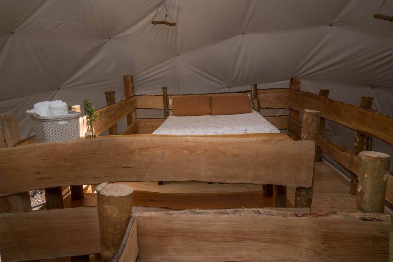 Cabanas Ensenada Bosque Nativo Esterno foto