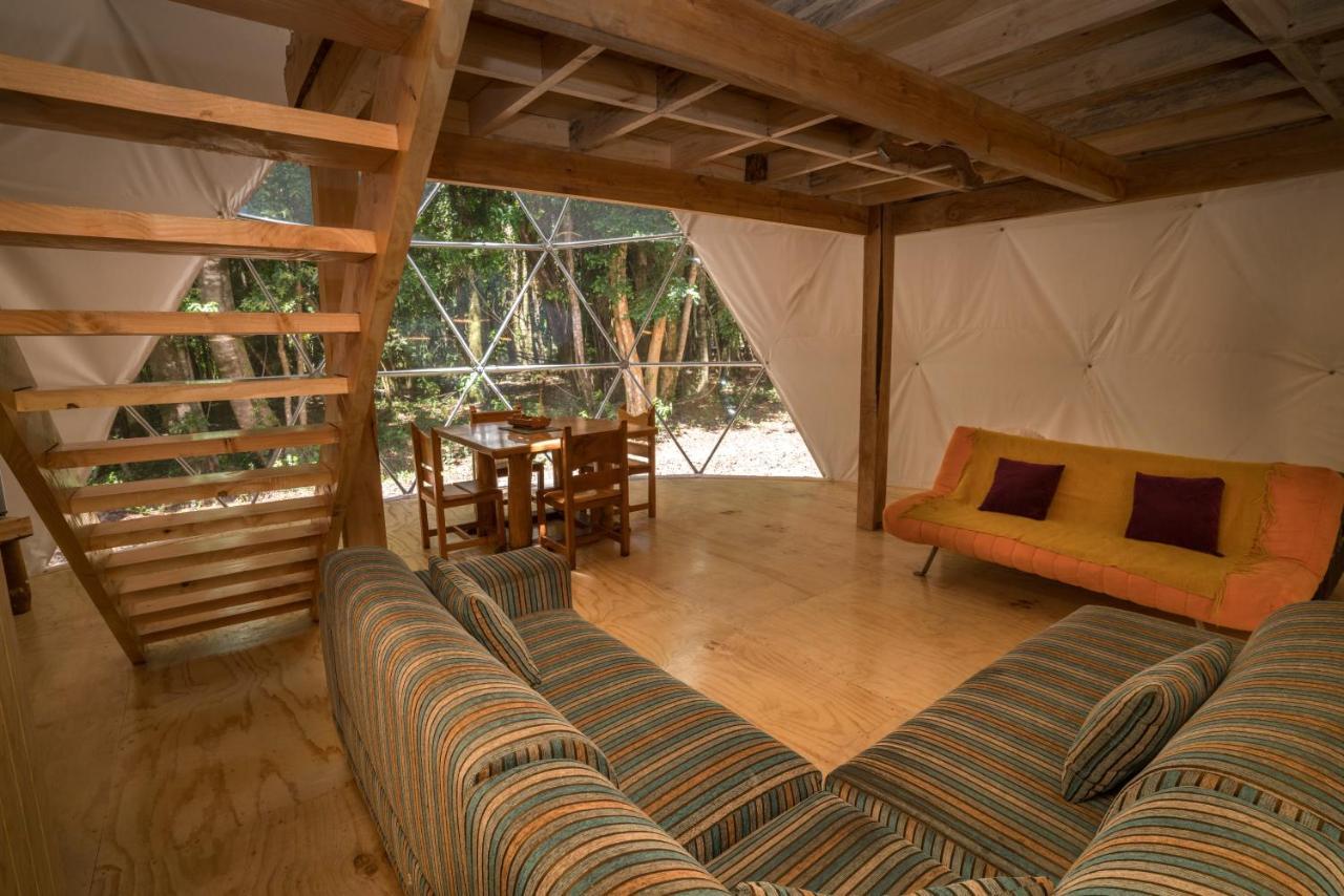 Cabanas Ensenada Bosque Nativo Esterno foto
