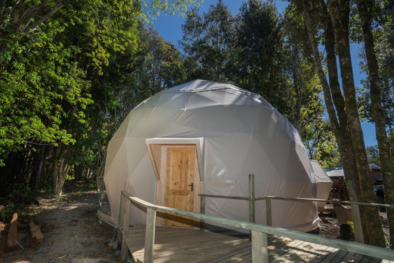 Cabanas Ensenada Bosque Nativo Esterno foto