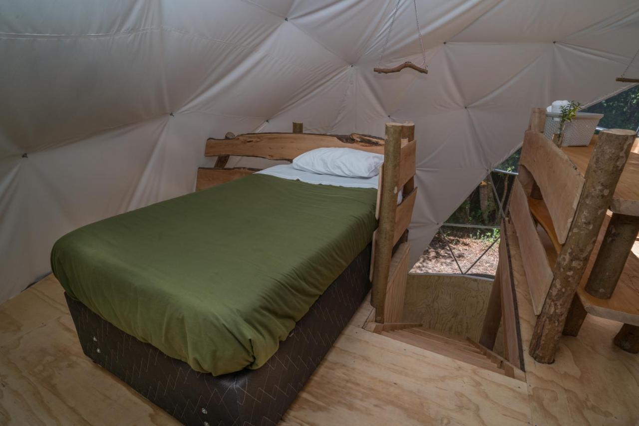Cabanas Ensenada Bosque Nativo Esterno foto