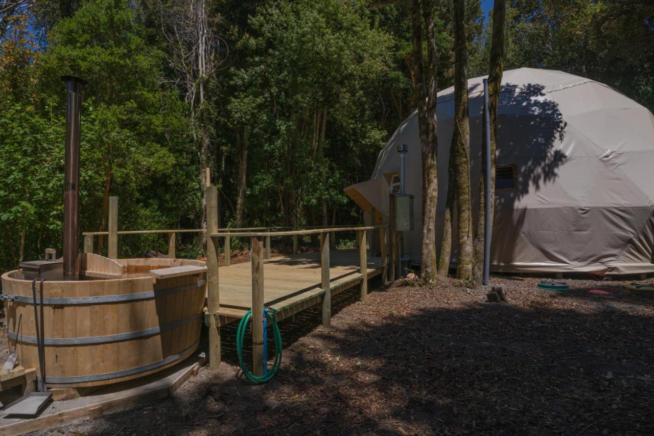 Cabanas Ensenada Bosque Nativo Esterno foto
