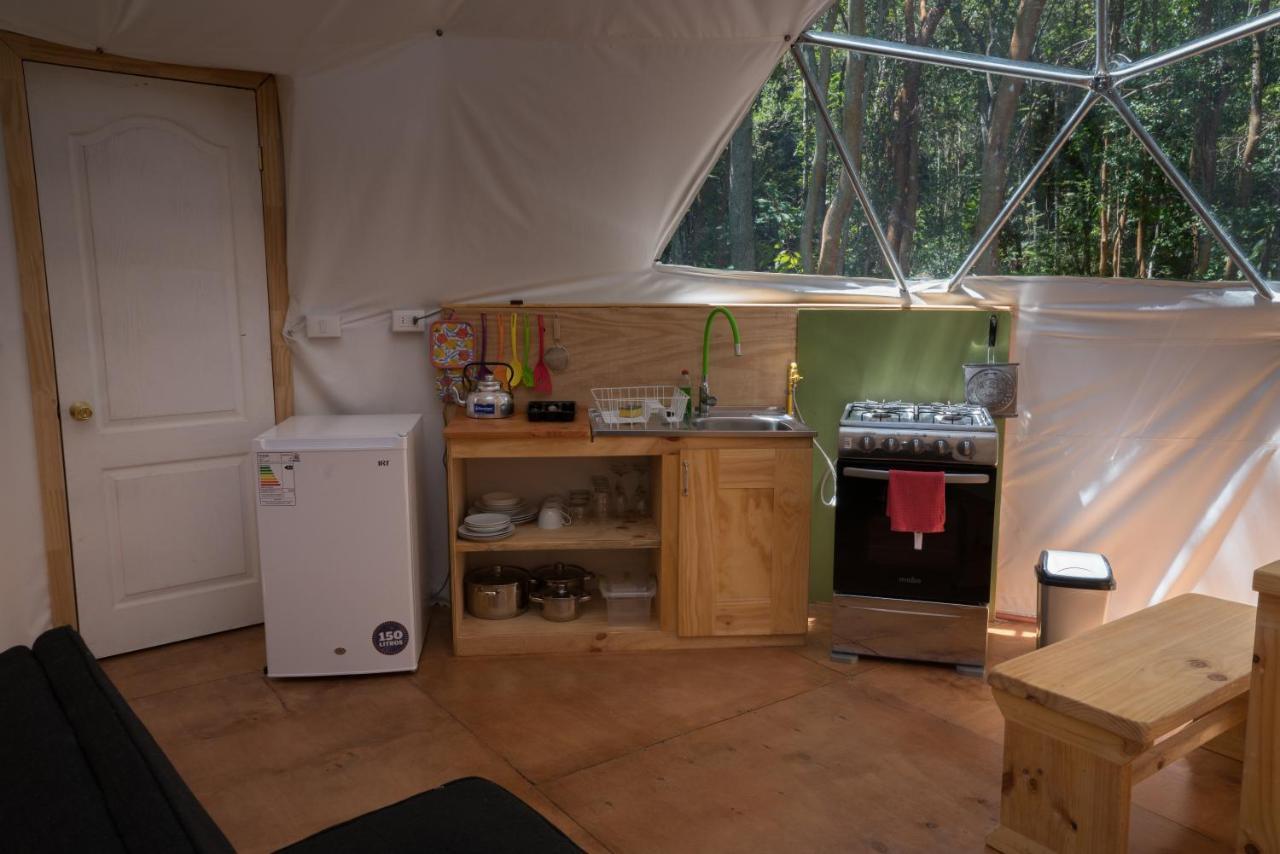 Cabanas Ensenada Bosque Nativo Esterno foto