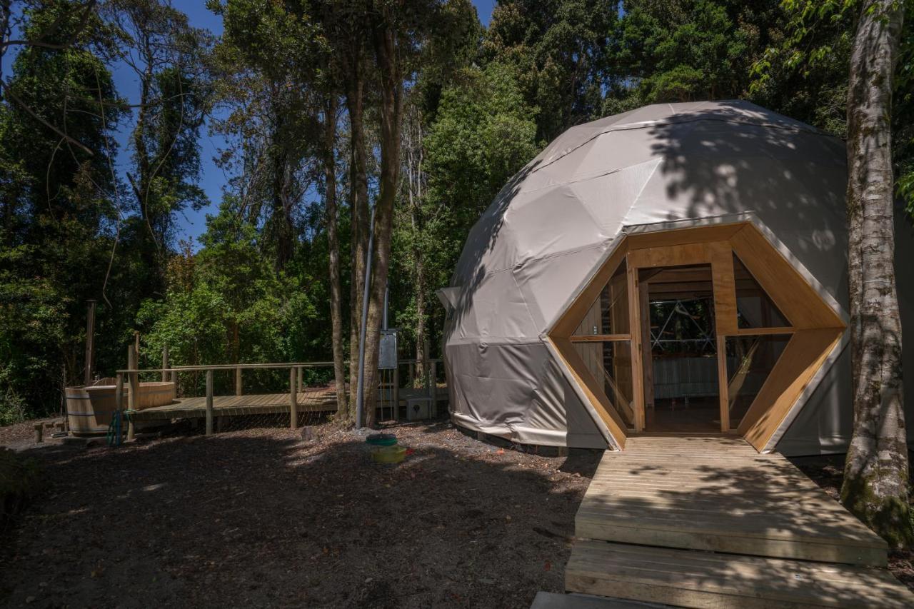 Cabanas Ensenada Bosque Nativo Esterno foto