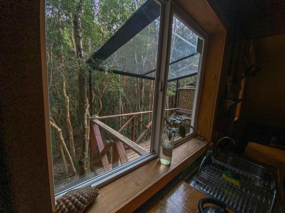 Cabanas Ensenada Bosque Nativo Esterno foto