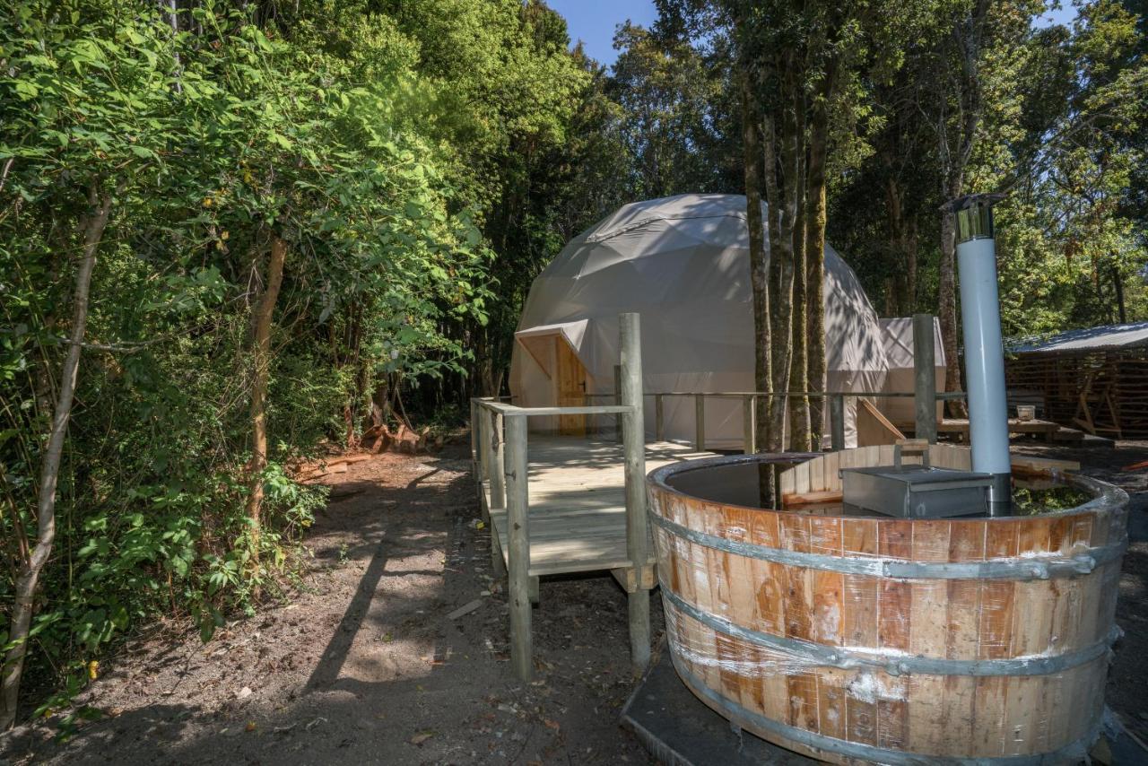 Cabanas Ensenada Bosque Nativo Esterno foto