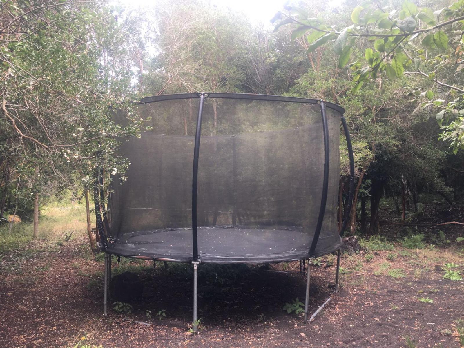 Cabanas Ensenada Bosque Nativo Esterno foto
