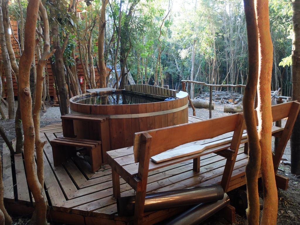 Cabanas Ensenada Bosque Nativo Esterno foto