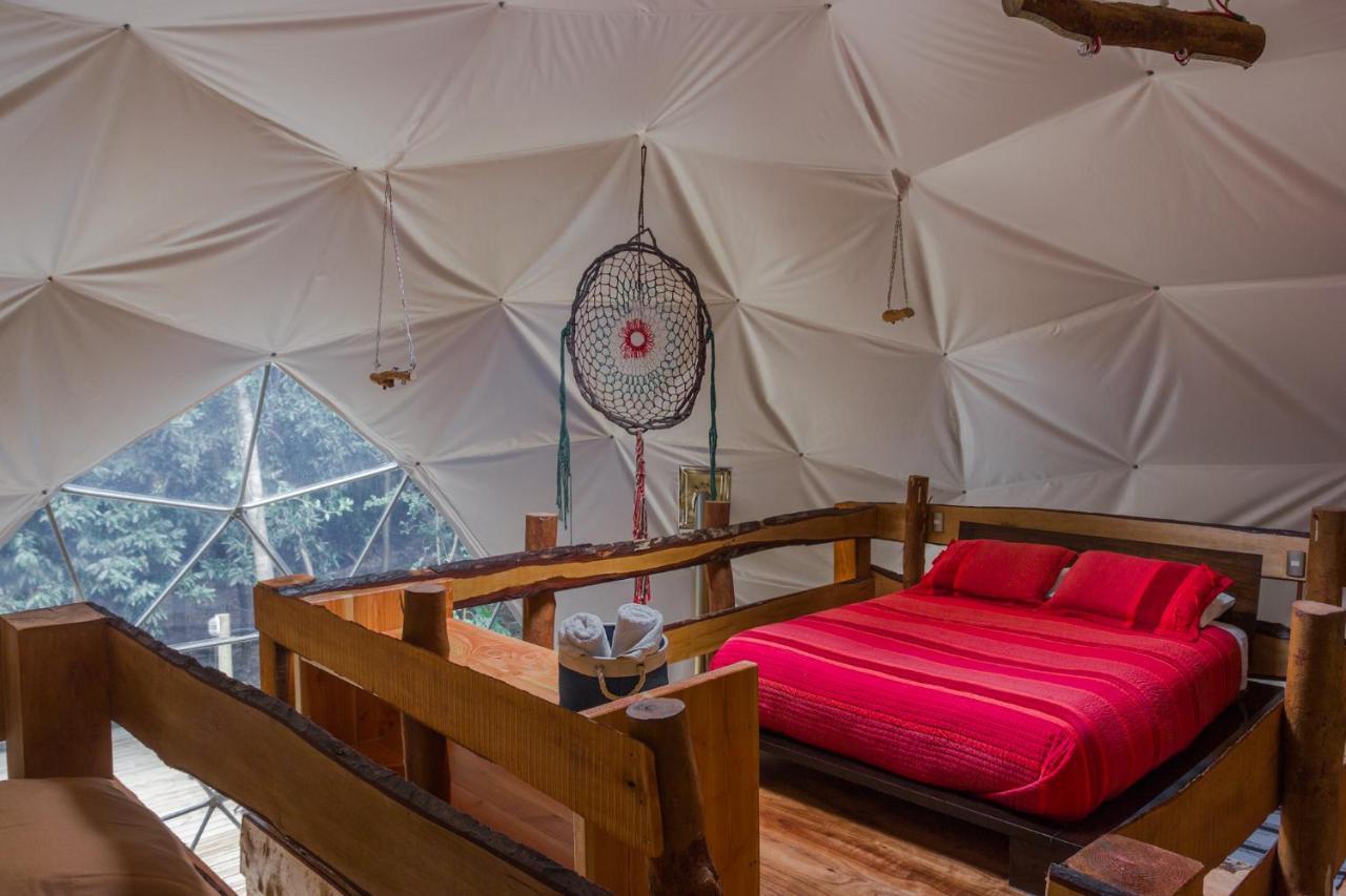 Cabanas Ensenada Bosque Nativo Esterno foto