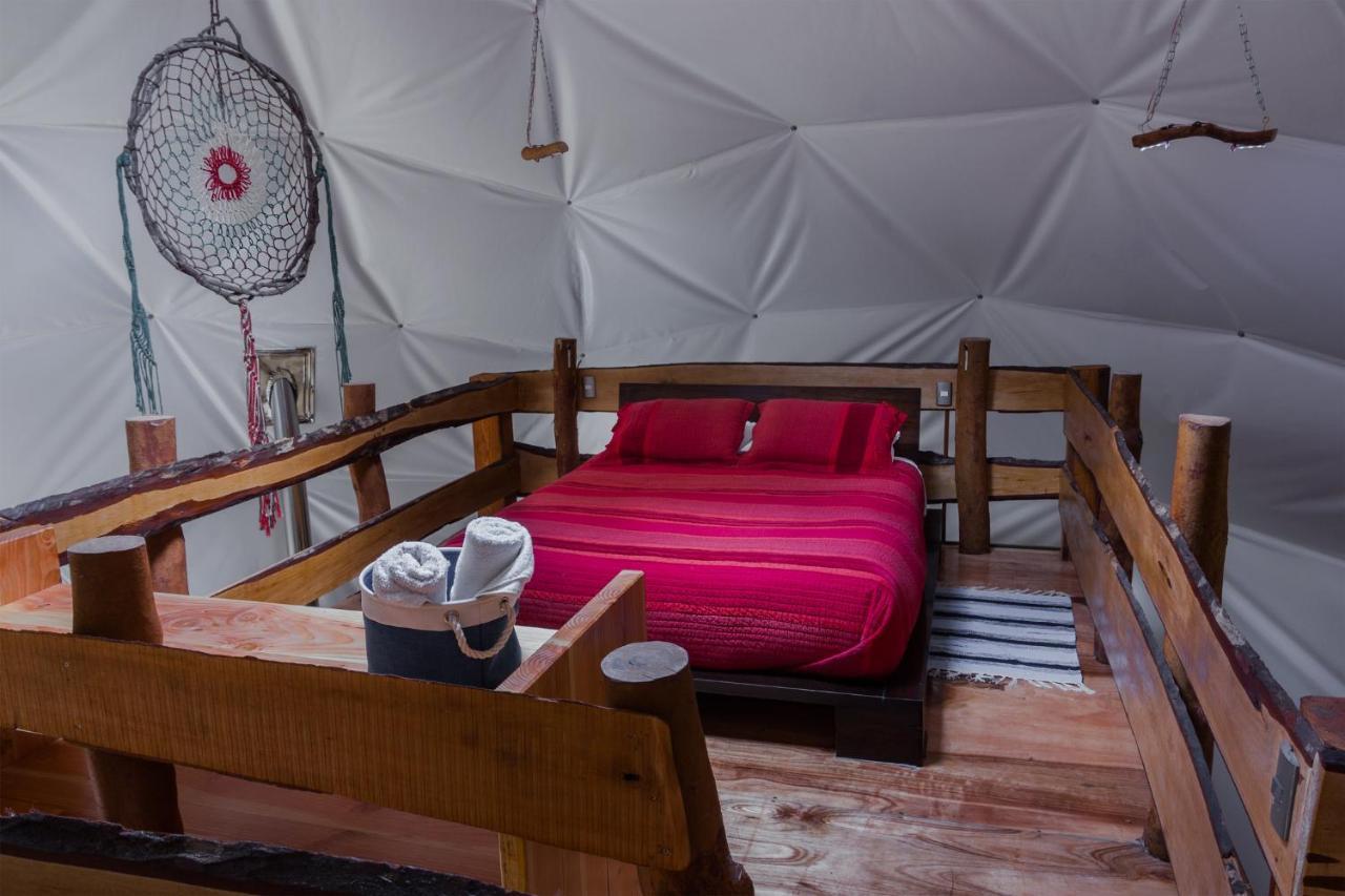 Cabanas Ensenada Bosque Nativo Esterno foto