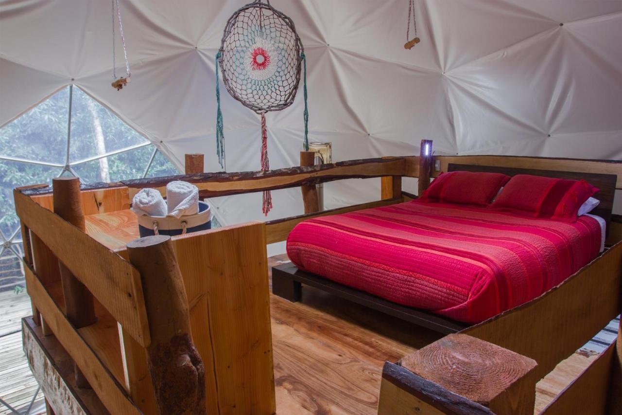 Cabanas Ensenada Bosque Nativo Esterno foto