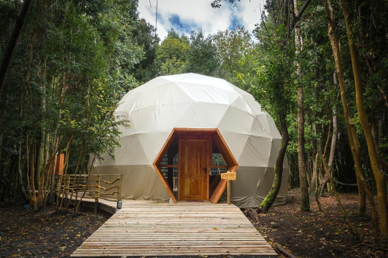 Cabanas Ensenada Bosque Nativo Esterno foto