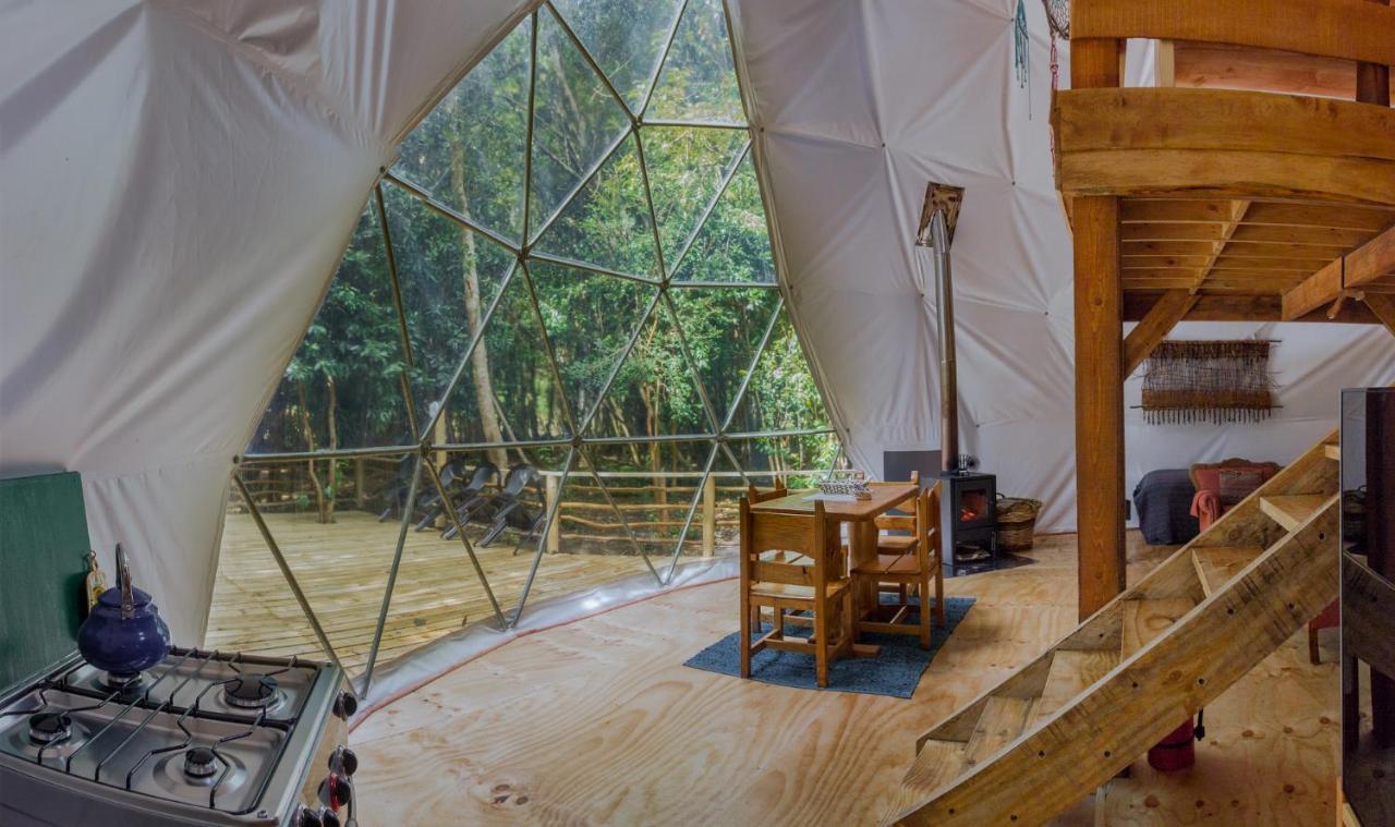 Cabanas Ensenada Bosque Nativo Esterno foto