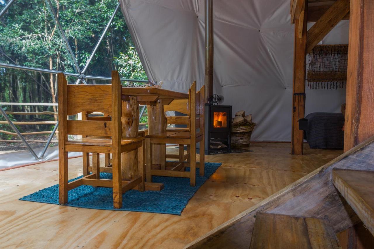Cabanas Ensenada Bosque Nativo Esterno foto