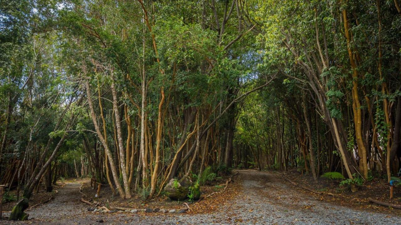 Cabanas Ensenada Bosque Nativo Esterno foto